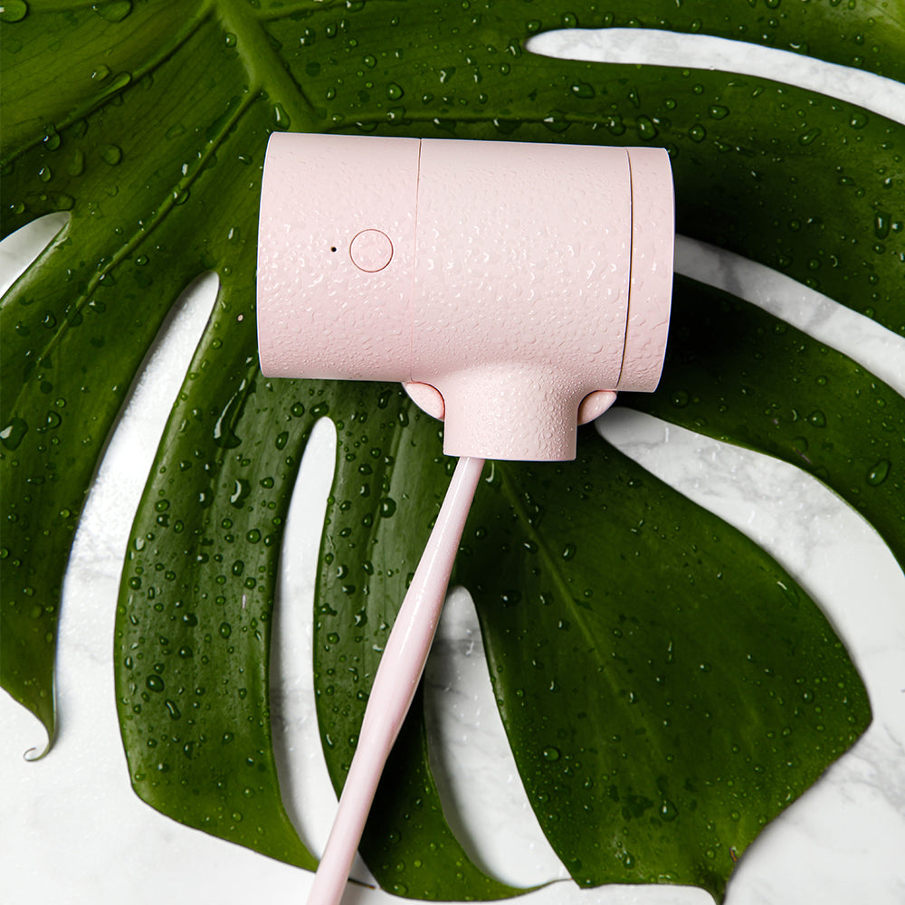 Clean'd PBS (Biomass) Toothbrush - Coolean